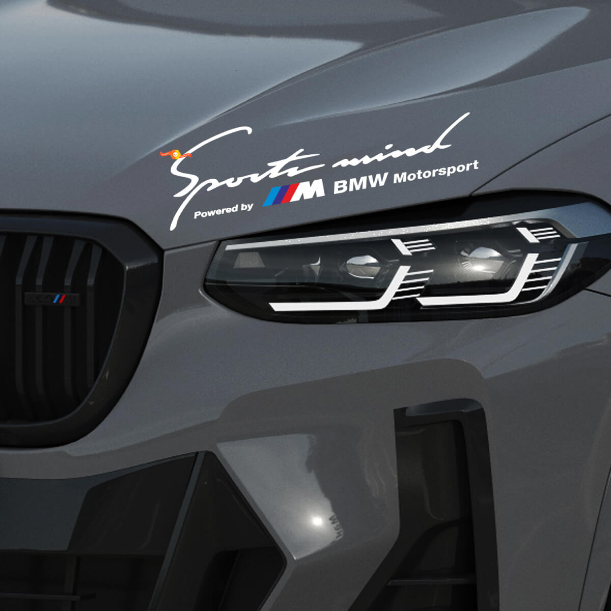 2 Sports Mind Power by M BMW Motorsport M3 M5 M6 E36 Sticker Decal