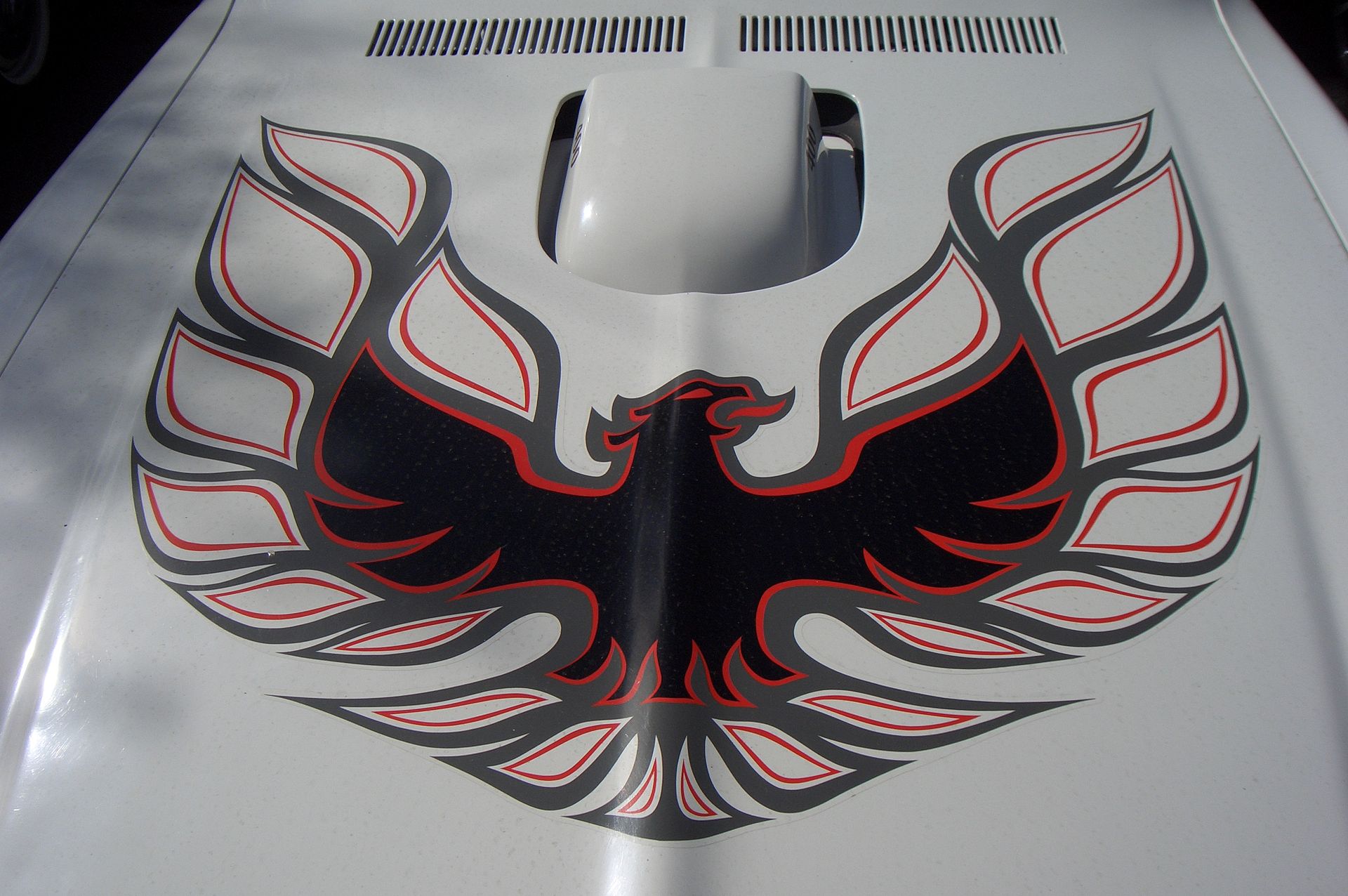 Pontiac Firebird Trans Am Bird Hood Decal Sticker 3 Any Color laminated