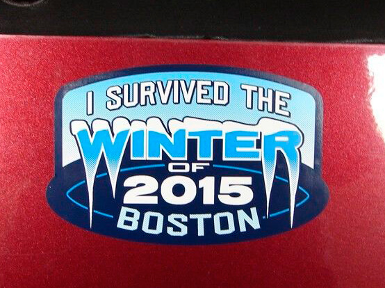 Boston Blizzard I Survived The Winter Badge Emblem Vinyl Sticker Decal for Jeep ATV Truck