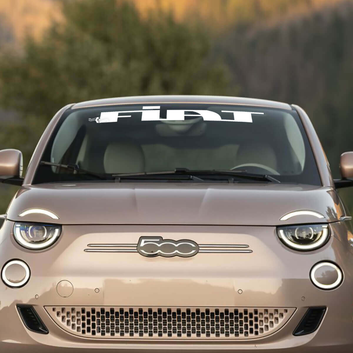 Front Windshield Decal Graphics for Fiat 500 1