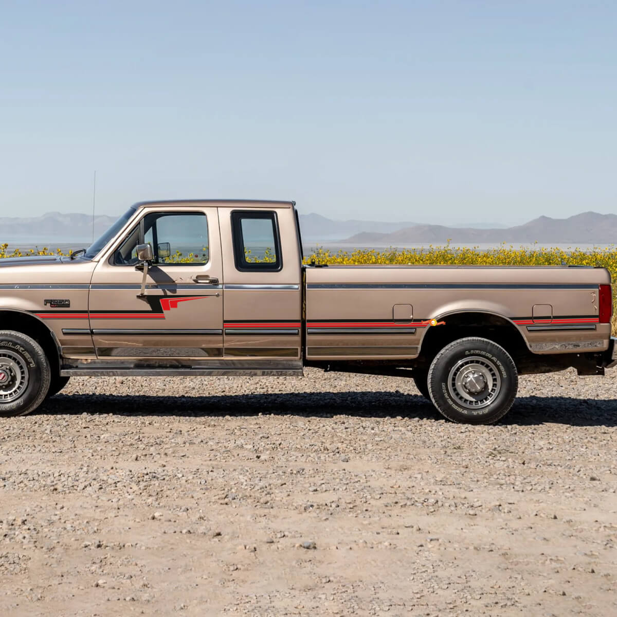 Retro Pin Stripe Stripes Decal Kit - Bedside Vinyl Sticker Set Side Graphics for Ford F250 1992 Super Cab