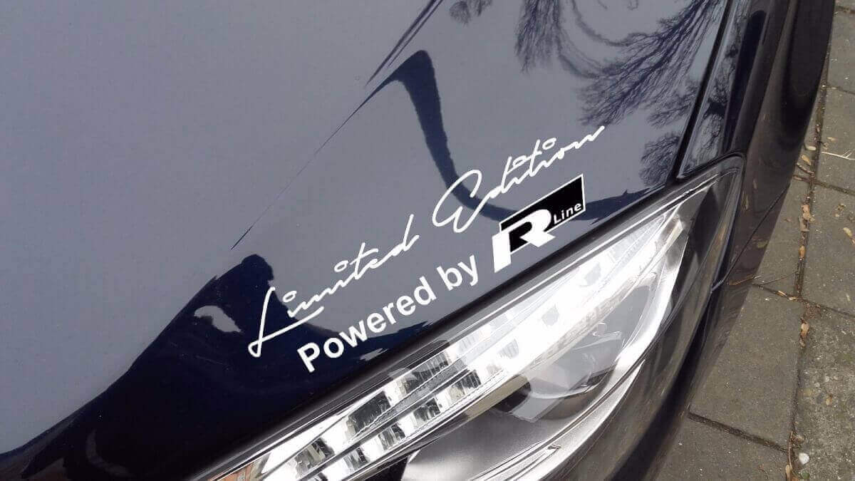 Pair of Limited Edition R-Line Style Decal Stickers for Volkswagen Touareg Beetle Passat