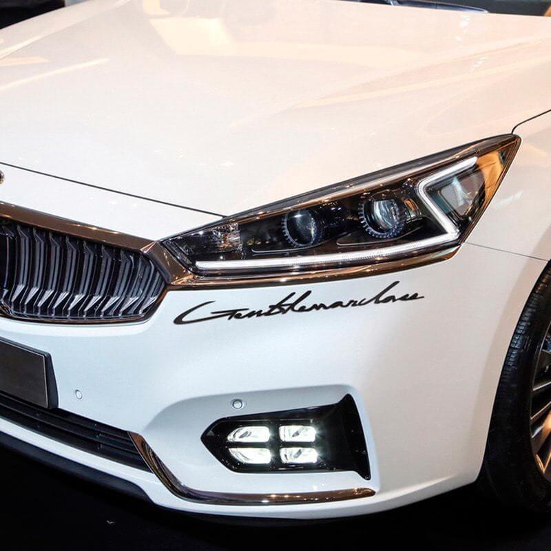 Lettering Emblem Logo Vinyl Decal 2 for Ford