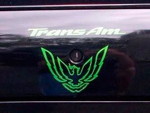 Trans Am Firebird Pontiac Bird Decal Sticker Vinyl Car Truck Window Wall