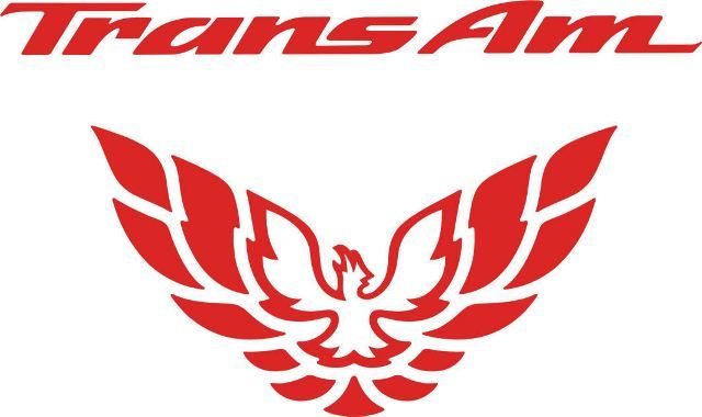 Trans Am Tail Light Filler Vinyl Decal for Pontiac Firebird 1998-2002