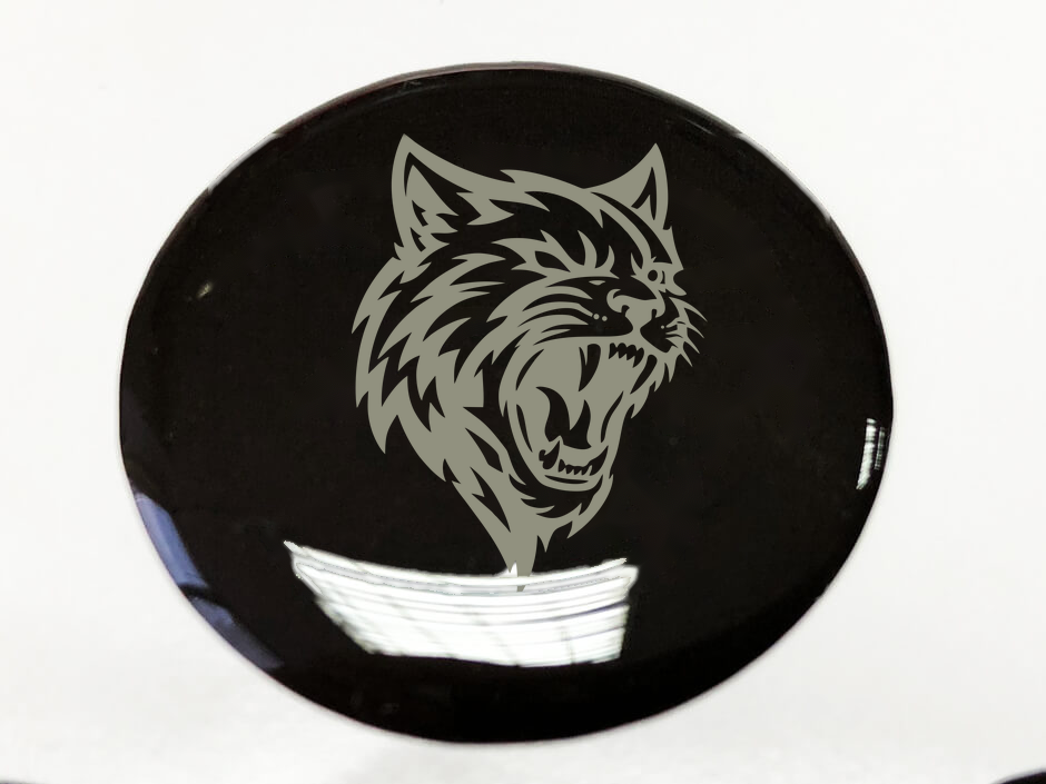 Start Engine Button Hellcat-Style Domed Resin Decal for Dodge Charger