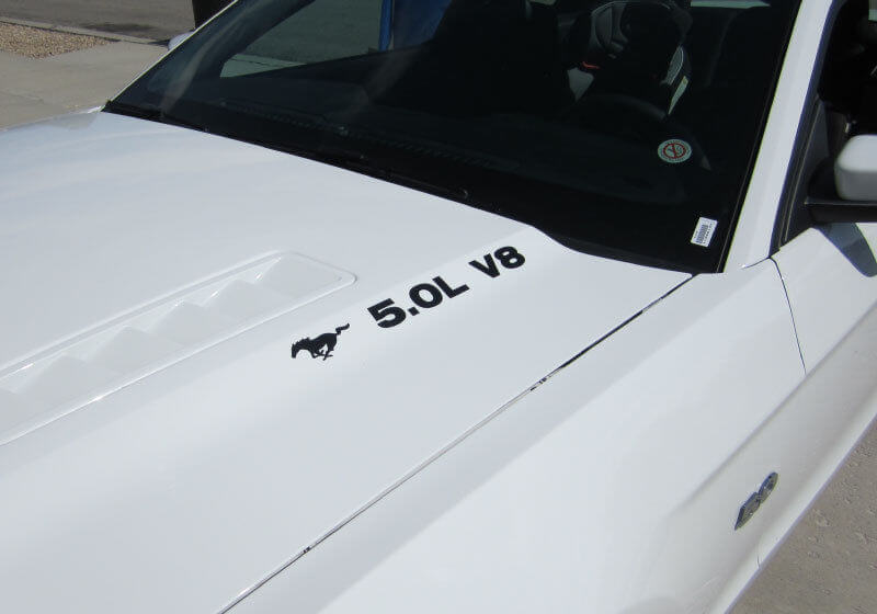5.0 V8 With Pony Hood Decal Pair for Musclecar Musclecarmodel 2011-2020