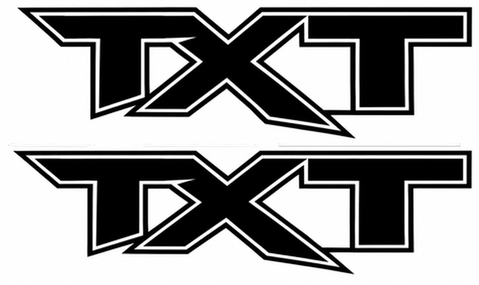 TXT Black Outline Side Vinyl Decal Pair for Musclecar truck 