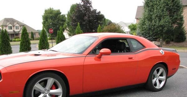 Pinstripe Bodyline Side Stripe Vinyl Decal Sticker for Dodge Challenger