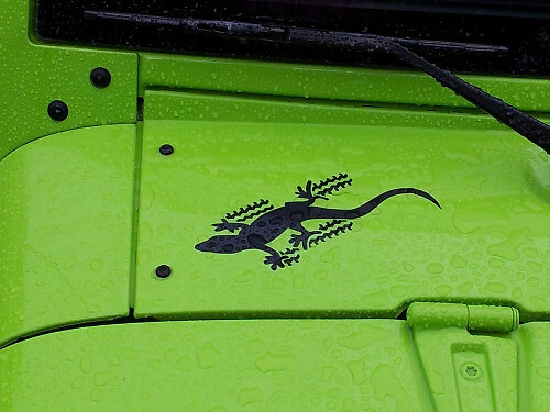 Gecko Side Vinyl Decal Set for Jeep Wrangler