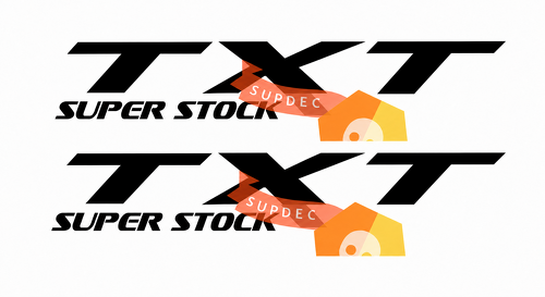 TXT Super Stock Lettering Side Vinyl Decal Sticker for Dodge Charger SRT