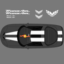 Dual Stripes Hood Roof Tailgate Vinyl Decal Kit for Pontiac Firebird Trans Am_2
