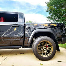 Dinosaurs T-Rex Splash Door Rear Side Splash Vinyl Sticker Decal Graphic for Dodge Ram Rebel 1500 TRX_3