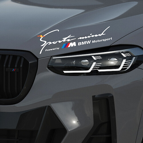 2 Sports Mind Power by M BMW Motorsport M3 M5 M6 E36 Sticker Decal