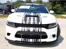 Horned Bee Splash Graphic Hood and Side Vinyl Decal Kit for Dodge Challenger Charger_2