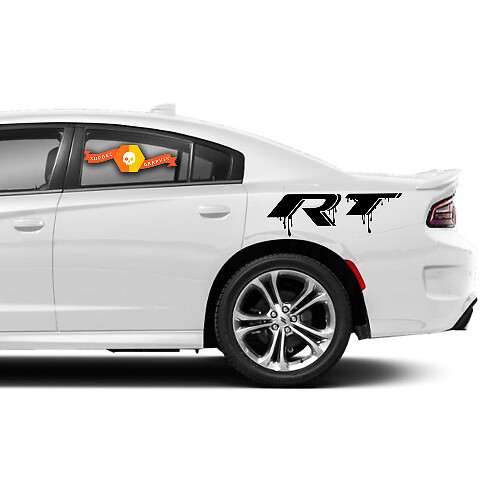 Pair Decal Graphics Paint Streaks Vinyl Vehicle Dodge Charger  Challenger Stickers