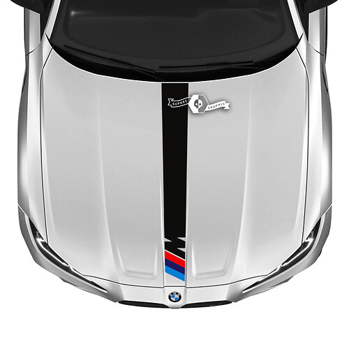 thumbnail interactive-video image 1 of Alpina Style Pin Stripe Graphic Decal Sticker For BMW 3-Series E46 – Custom Fit M3 1 of 4