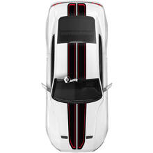 Ford Mustang Mach1 Mach 1 GT Overall 2 Colors Stripes Hood Roof Trunk Decals Stickers 2