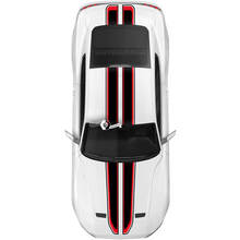 Overall 2 Colors Stripes for Ford Mustang Mach1 Mach 1 GT 3