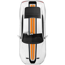 Overall 2 Colors Stripes for Ford Mustang Mach1 Mach 1 2