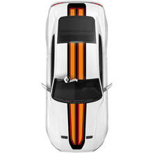 Overall Stripes for Ford Mustang Mach1 Mach 1 Style 2