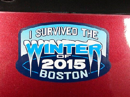 Boston Blizzard I Survived The Winter Badge Emblem Vinyl Sticker Decal for Jeep ATV Truck