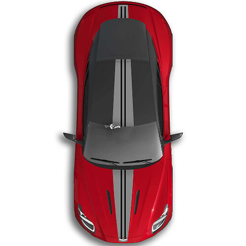 Aston Martin DB11 Full Body Two Colors Stripe Hood Roof Trunk Vinyl Decal Sticker