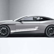 Side Doors Stripe Vinyl Decals Stickers 4 For Aston Martin DB11 2
