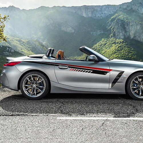 Side Accents Strobe Door Stripes Vinyl Decal Sticker fit to BMW Z4 1