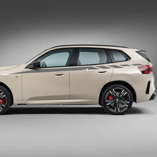 Side Up Door Stripes Decal Kit - Custom Vinyl Graphics for BMW X3 G45 G01 or F25 2