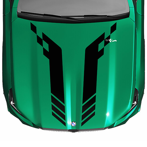 L Stripes Racing Checkered Hood Decal for BMW 5 Series G60 M5 G90
