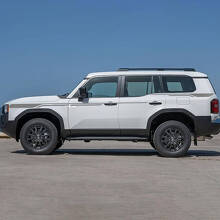 Side Doors Accent Stripes Decals Vinyl Stickers Graphic 2 For Toyota Land Cruiser  3