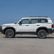 Toyota Land Cruiser Side Doors Accent Stripes Decals Vinyl Stickers Graphic 3