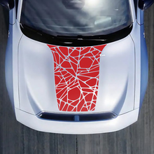 Hood Web Spider Decal Sticker for Dodge Charger Electric 3