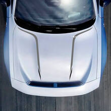 Hood Accent Decal Sticker for Dodge Charger Electric 2