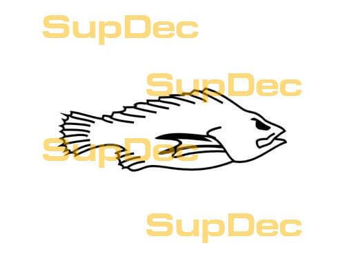 Angry Fish Outline Vinyl Decal For Cars