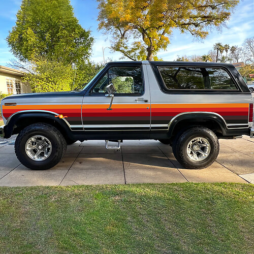 Pair Side Door Retro Vintage Stripes Vinyl Decals Stickers for Ford Bronco 1984