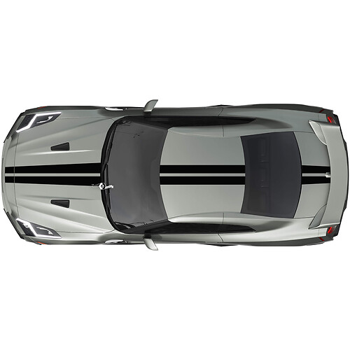 Full Body Dual Racing Stripes Decal Kit for Nissan GT-R one color
