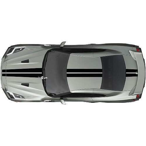 Full Body Dual Racing Stripes Decal Kit for Nissan GT-R one color