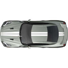 Full Body Dual Racing Stripes Decal Kit 2 for Nissan GT-R  2
