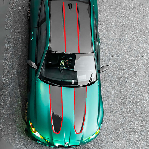 Thin Accent Stripes Hood Roof Vinyl Decal Sticker for BMW M4_1