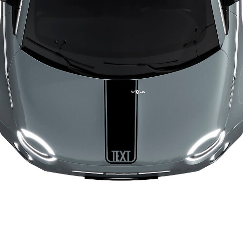 Custom Text Central Hood Stripe Decal Sticker Graphics for Fiat 500 1