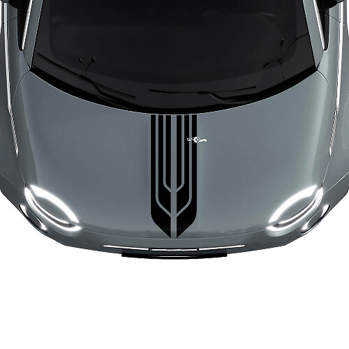 500 Dual Central Hood Stripe Decal Sticker Graphics for Fiat 500 1