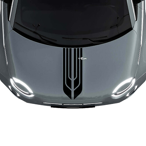 500 Dual Central Hood Stripe Decal Sticker Graphics for Fiat 500