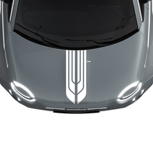 500 Dual Central Hood Stripe Decal Sticker Graphics for Fiat 500 2