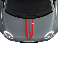 500 Dual Central Hood Stripe Decal Sticker Graphics for Fiat 500 3