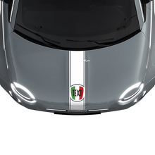 Stripe Italy Flag Hood Stripe Decal Sticker Graphics for Fiat 500 2