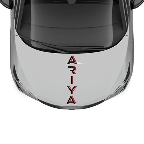 Hood Dual Colors Stripe Racing Graphics Decal for Nissan ARIYA 1