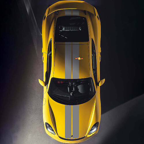 Dual Racing Stripes Hood and Roof Vinyl Decal Kit for Porsche Cayman 718