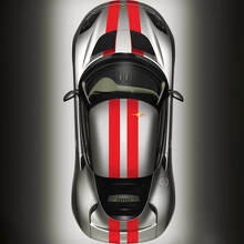 Twin Stripes Hood Roof Trunk Vinyl Decal Kit for Lotus Elise 2008 3